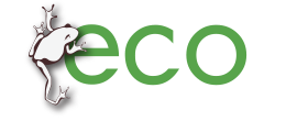 ecomagination