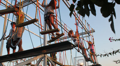AERIAL SURVIVOR
